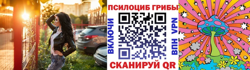 Купить где  Облучье  Галлюциногенные грибы прущие грибы 